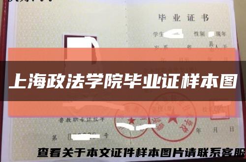 上海政法學院畢業證樣本圖縮略圖