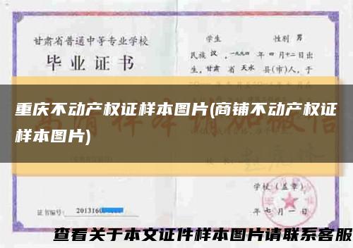 重慶不動產權證樣本圖片(商鋪不動產權證樣本圖片)縮略圖