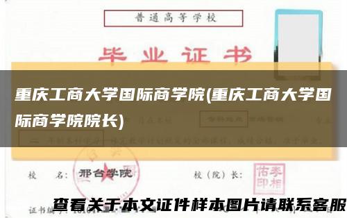 重慶工商大學國際商學院(重慶工商大學國際商學院院長)縮略圖