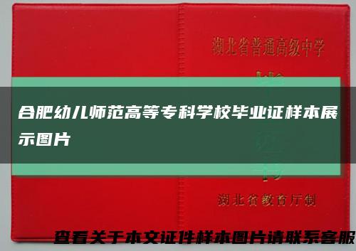合肥幼兒師范高等?？茖W校畢業證樣本展示圖片縮略圖