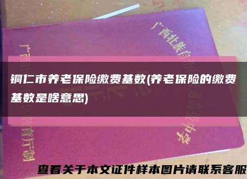 銅仁市養老保險繳費基數(養老保險的繳費基數是啥意思)縮略圖