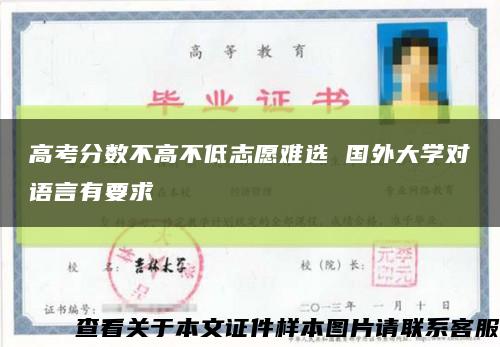 高考分數不高不低志愿難選 國外大學對語言有要求縮略圖
