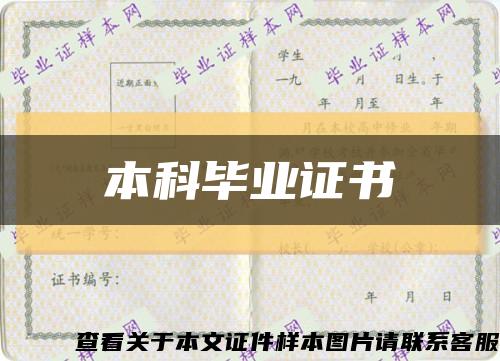 本科畢業證書縮略圖