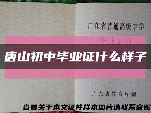 唐山初中畢業證什么樣子縮略圖