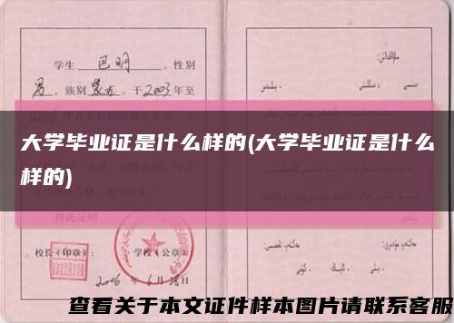 大學畢業證是什么樣的(大學畢業證是什么樣的)縮略圖