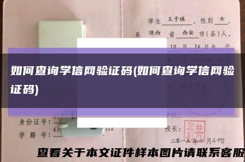 如何查詢學信網驗證碼(如何查詢學信網驗證碼)縮略圖