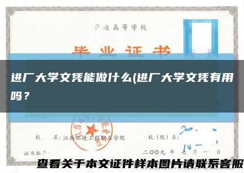進廠大學文憑能做什么(進廠大學文憑有用嗎？縮略圖
