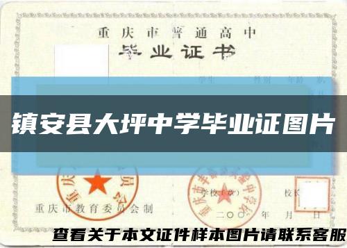 鎮安縣大坪中學畢業證圖片縮略圖