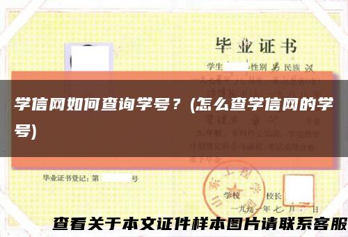 學信網如何查詢學號？(怎么查學信網的學號)縮略圖