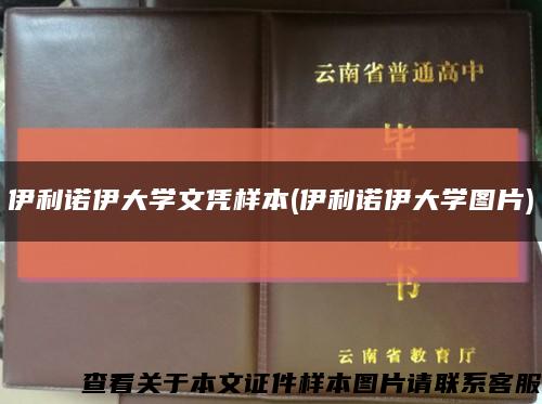 伊利諾伊大學文憑樣本(伊利諾伊大學圖片)縮略圖