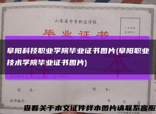 阜陽科技職業學院畢業證書圖片(阜陽職業技術學院畢業證書圖片)縮略圖