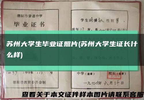 蘇州大學生畢業證照片(蘇州大學生證長什么樣)縮略圖