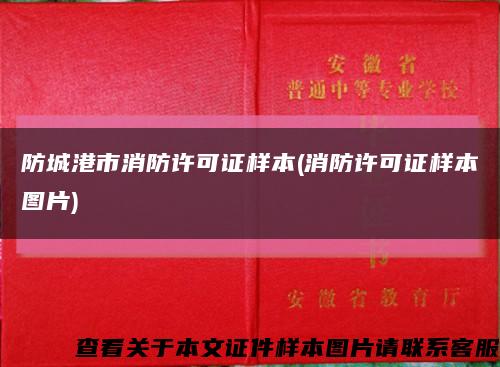 防城港市消防許可證樣本(消防許可證樣本圖片)縮略圖