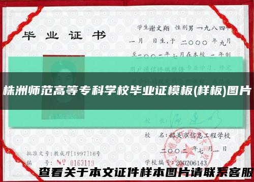 株洲師范高等?？茖W校畢業證模板(樣板)圖片縮略圖