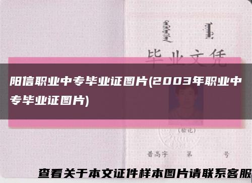 陽信職業中專畢業證圖片(2003年職業中專畢業證圖片)縮略圖