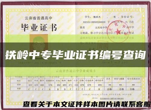 鐵嶺中專畢業證書編號查詢縮略圖