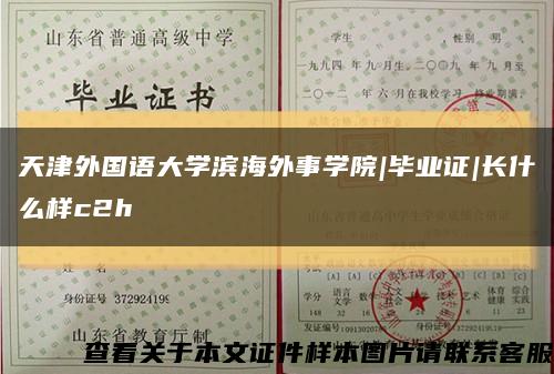 天津外國語大學濱海外事學院|畢業證|長什么樣c2h縮略圖