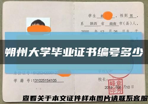 朔州大學畢業證書編號多少縮略圖