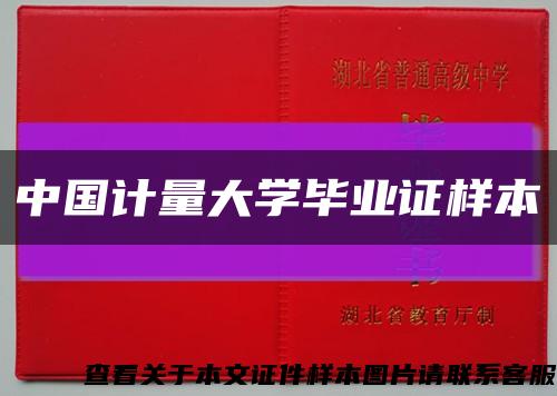 中國計量大學畢業證樣本縮略圖