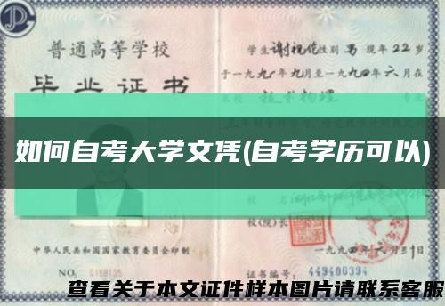 如何自考大學文憑(自考學歷可以)縮略圖