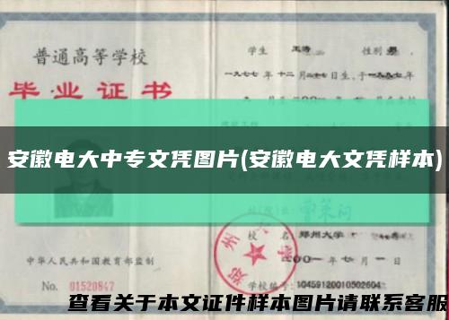 安徽電大中專文憑圖片(安徽電大文憑樣本)縮略圖