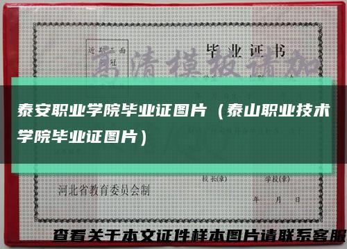 泰安職業學院畢業證圖片（泰山職業技術學院畢業證圖片）縮略圖
