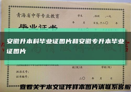 安徽升本科畢業證圖片和安徽專升本畢業證圖片縮略圖