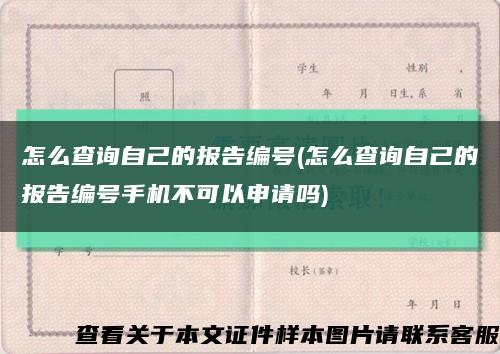 怎么查詢自己的報告編號(怎么查詢自己的報告編號手機不可以申請嗎)縮略圖