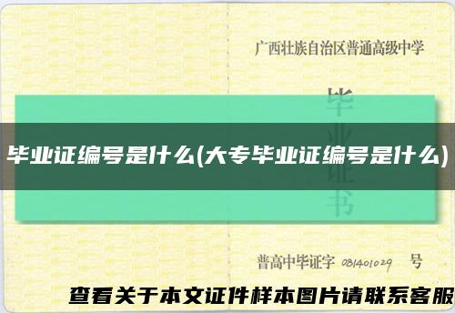 畢業證編號是什么(大專畢業證編號是什么)縮略圖