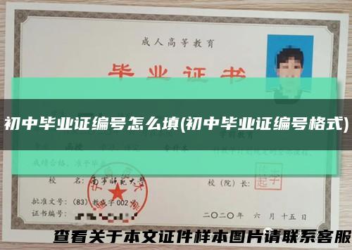初中畢業證編號怎么填(初中畢業證編號格式)縮略圖