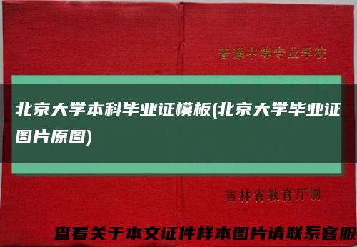 北京大學本科畢業證模板(北京大學畢業證圖片原圖)縮略圖