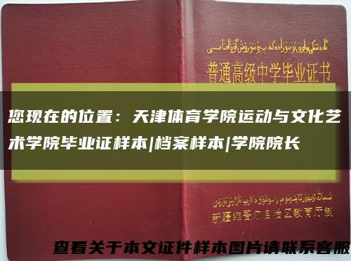 您現在的位置：天津體育學院運動與文化藝術學院畢業證樣本|檔案樣本|學院院長縮略圖