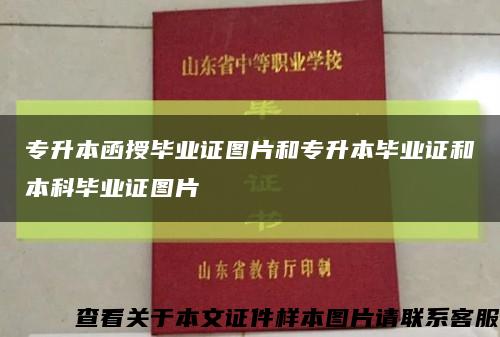 專升本函授畢業證圖片和專升本畢業證和本科畢業證圖片縮略圖