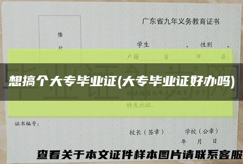 想搞個大專畢業證(大專畢業證好辦嗎)縮略圖