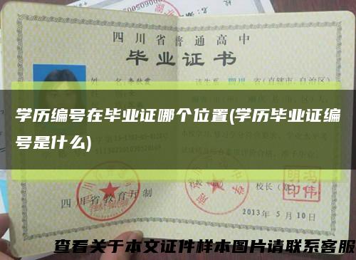 學歷編號在畢業證哪個位置(學歷畢業證編號是什么)縮略圖