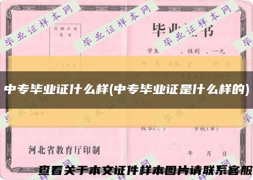 中專畢業證什么樣(中專畢業證是什么樣的)縮略圖