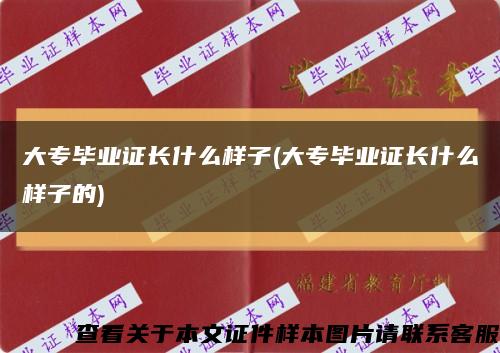 大專畢業證長什么樣子(大專畢業證長什么樣子的)縮略圖