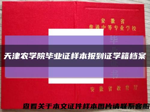 天津農學院畢業證樣本報到證學籍檔案縮略圖