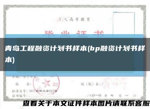 青島工程融資計劃書樣本(bp融資計劃書樣本)縮略圖