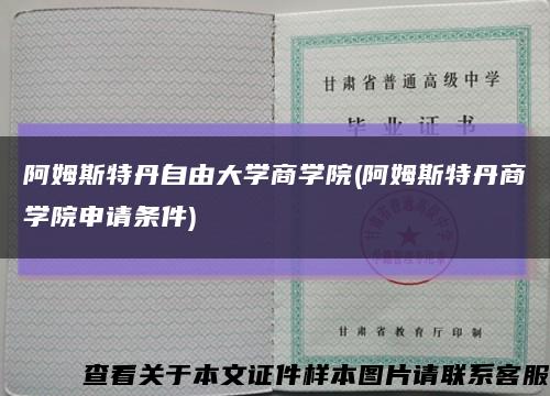 阿姆斯特丹自由大學商學院(阿姆斯特丹商學院申請條件)縮略圖