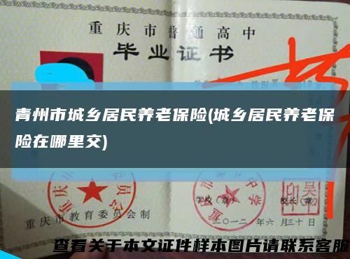 青州市城鄉居民養老保險(城鄉居民養老保險在哪里交)縮略圖