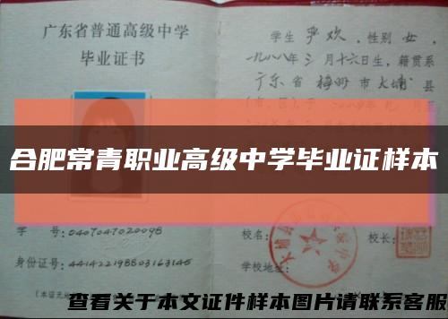 合肥常青職業高級中學畢業證樣本縮略圖