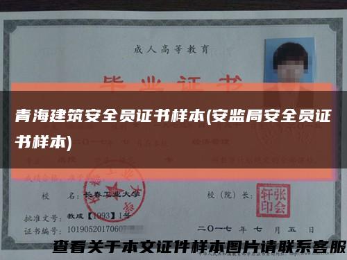青海建筑安全員證書樣本(安監局安全員證書樣本)縮略圖