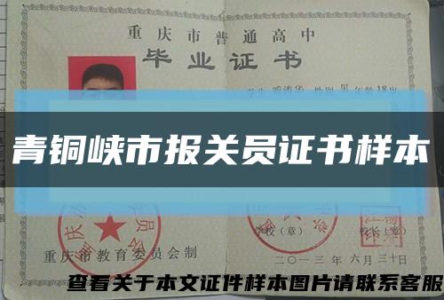 青銅峽市報關員證書樣本縮略圖