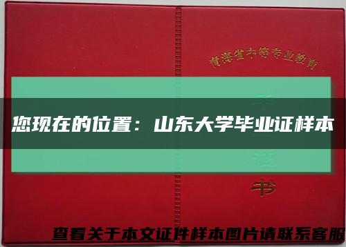 您現在的位置：山東大學畢業證樣本縮略圖