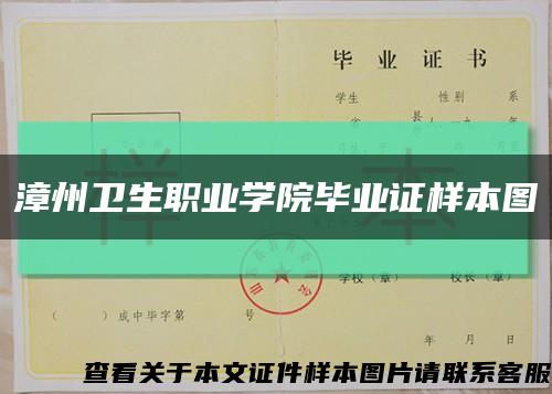 漳州衛生職業學院畢業證樣本圖縮略圖