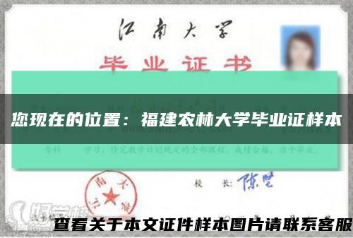 您現在的位置：福建農林大學畢業證樣本縮略圖