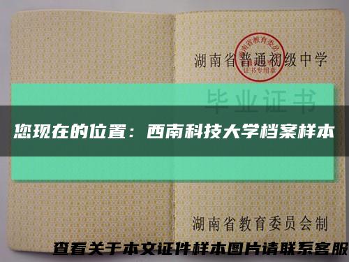 您現在的位置：西南科技大學檔案樣本縮略圖