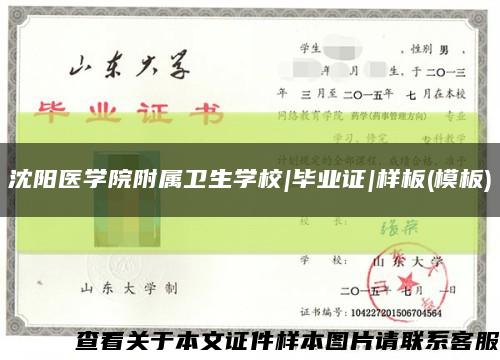 沈陽醫學院附屬衛生學校|畢業證|樣板(模板)縮略圖
