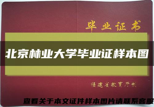 北京林業大學畢業證樣本圖縮略圖